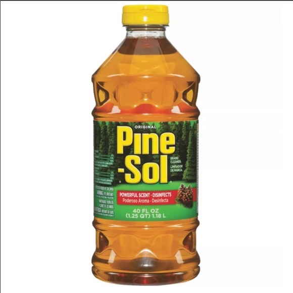 Meet your Posher, Riley - Picture 10 of 16